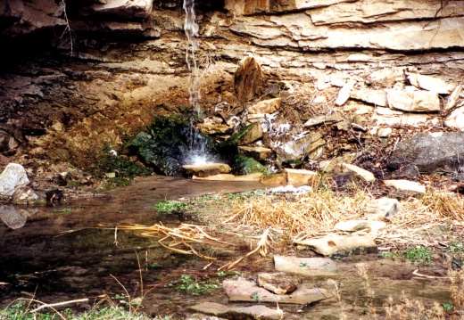 Rattlesnake Canyon Falls 07