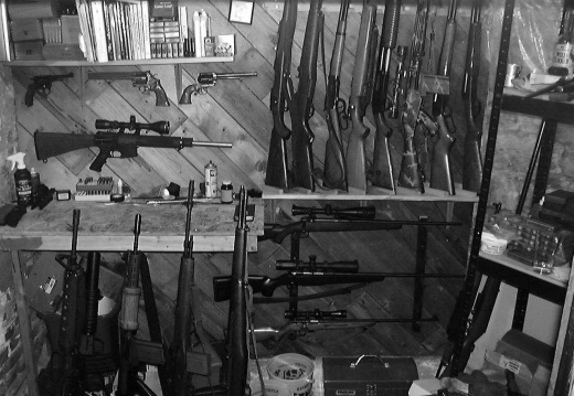 gun-collection